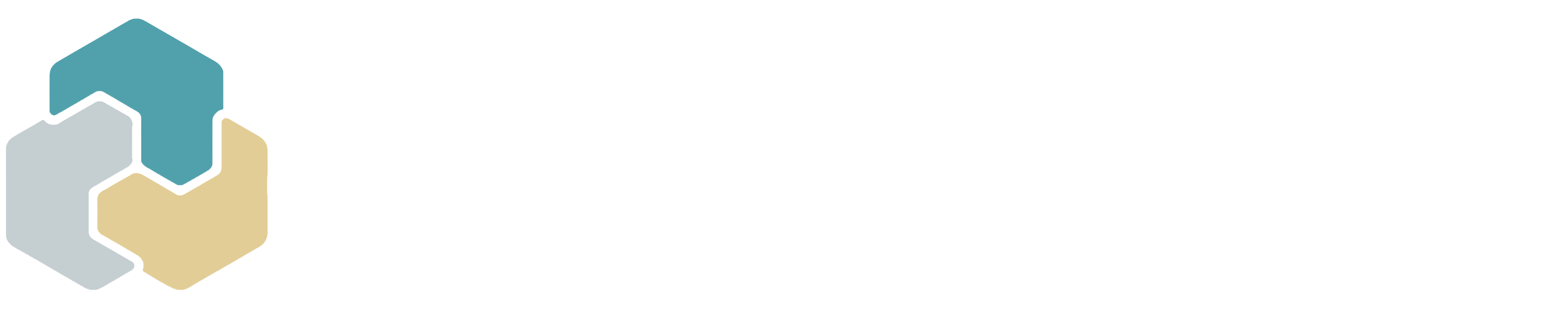Frontier Pioneer